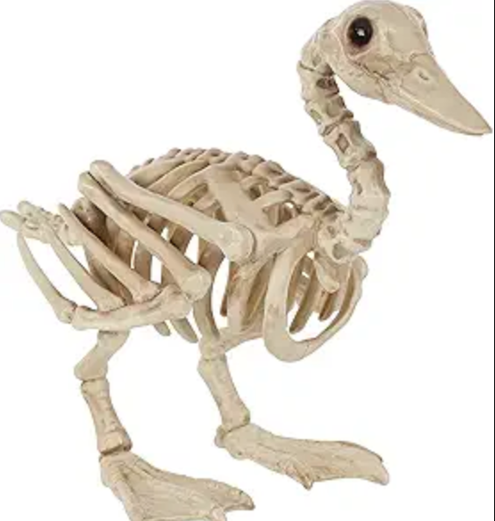 Afbeelding van Skeleton Duck se