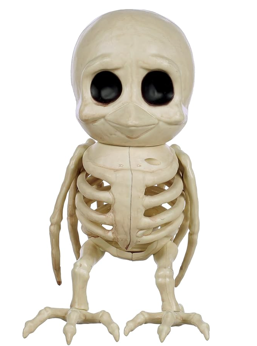 Afbeelding van Cuty Bird "Hoot" Skeleton