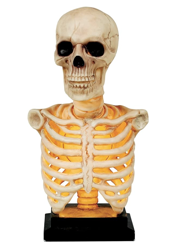 Afbeelding van Skeleton bust LU