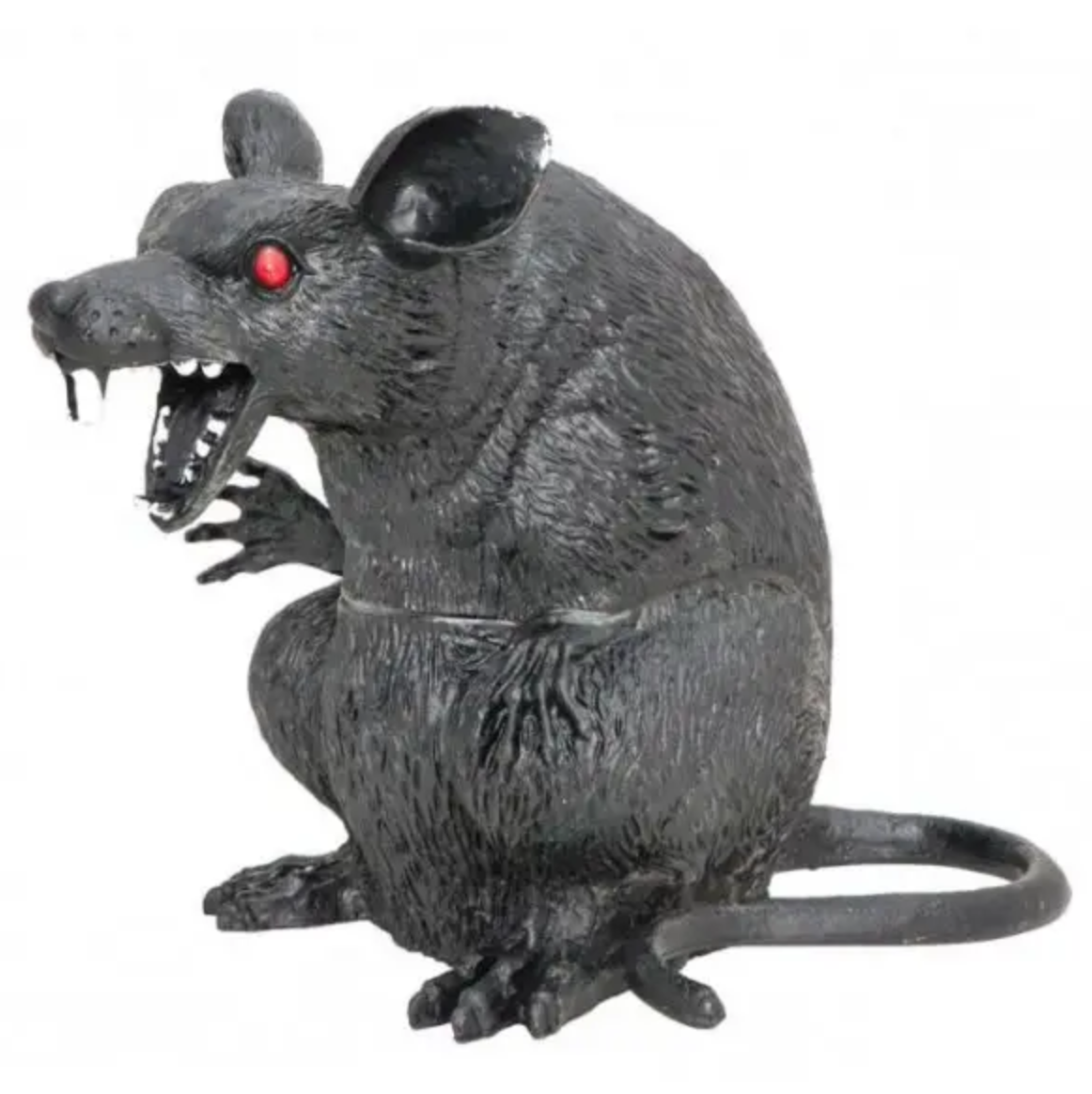 Afbeelding van Rat zittend