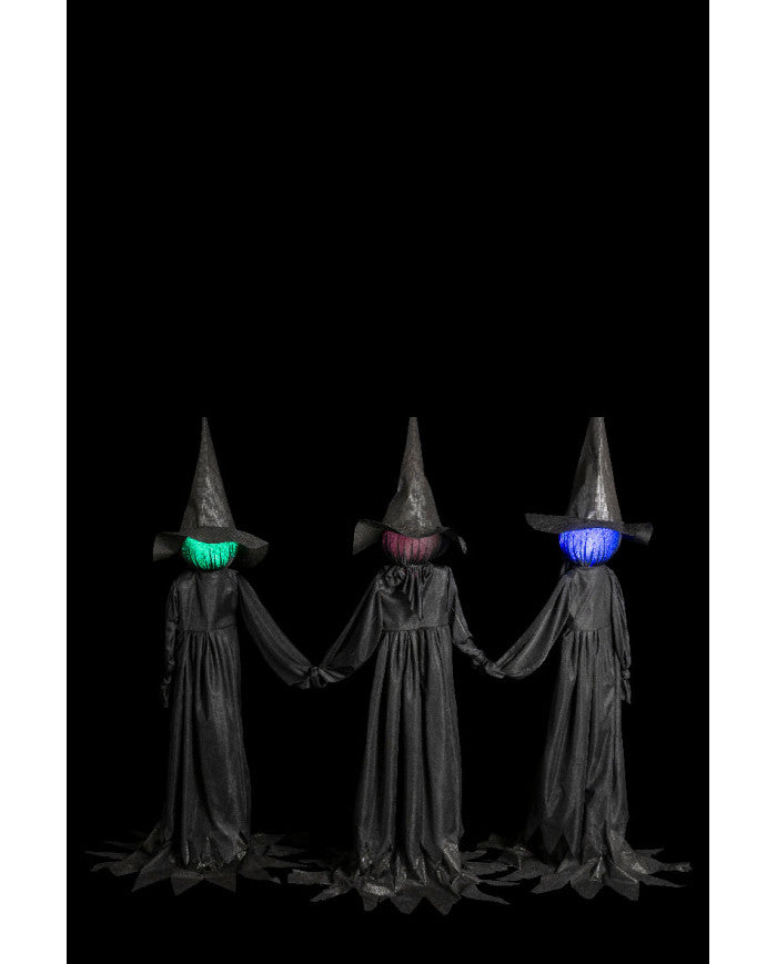 Afbeelding van 3 Zwarte Heksen op display met licht