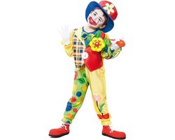 Afbeelding van Clown 46 jaar