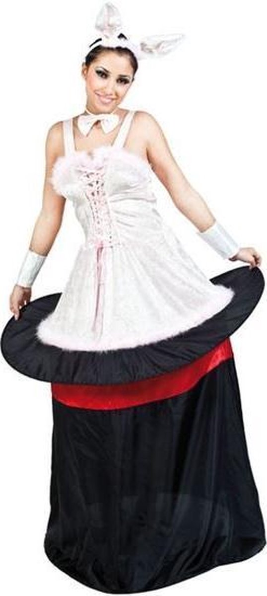 Afbeelding van Konijn uit hoge hoed