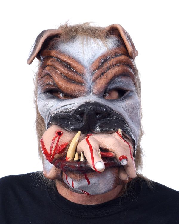 Afbeelding van Fetch