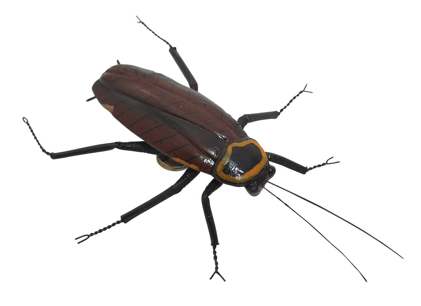Afbeelding van Magnetic Roaches -Kakkerlakken magnetisch