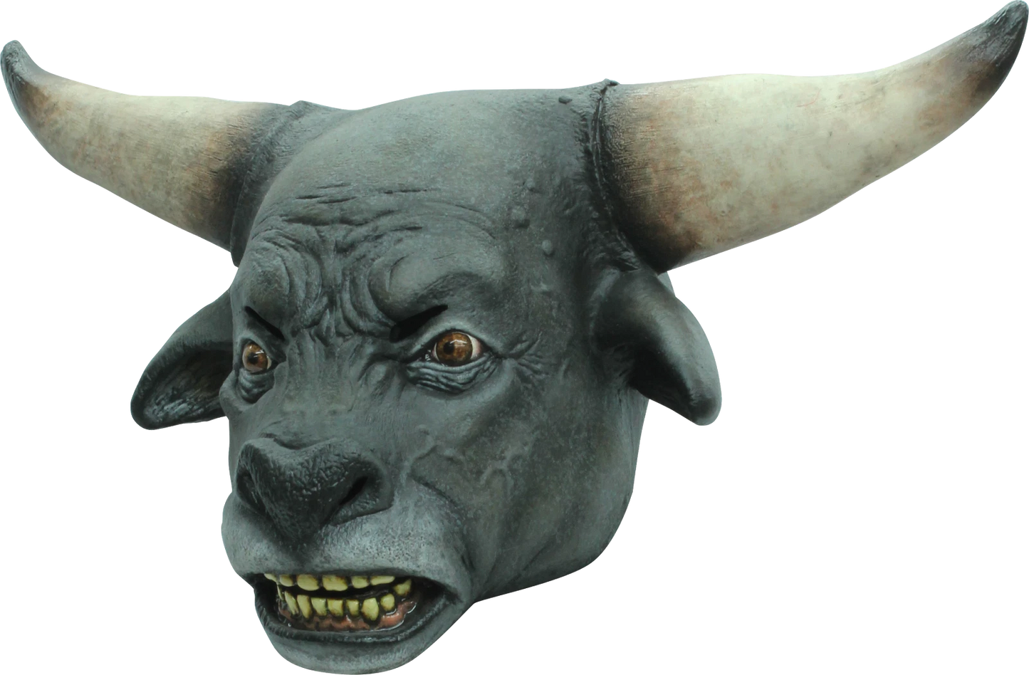 Afbeelding van Taurus