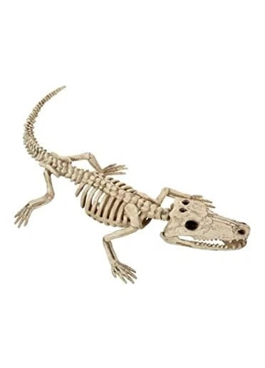 Afbeelding van Skeleton Baby Aligator