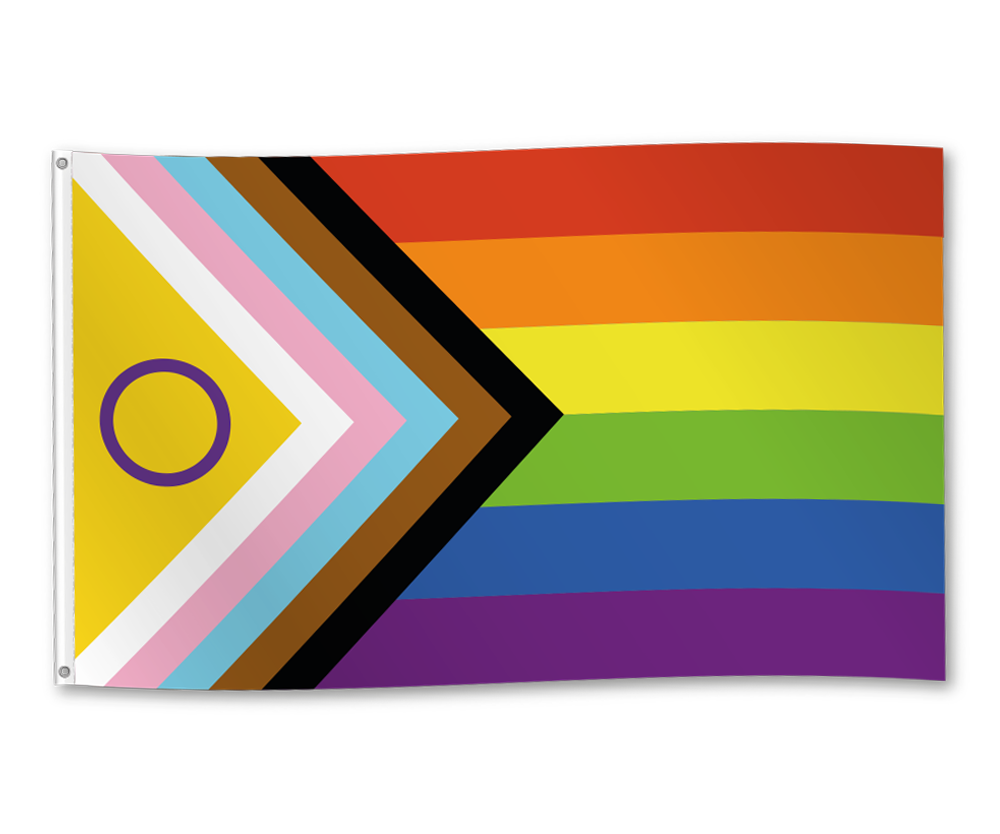 Afbeelding van Vlag Pride Intersex 90x150 cm