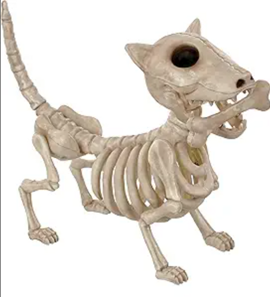Afbeelding van Digger the dog