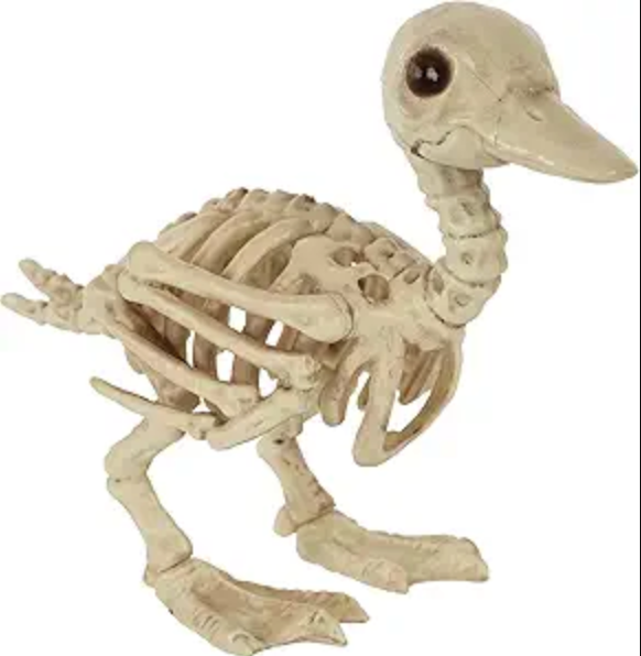 Afbeelding van Skeleton Duck small se