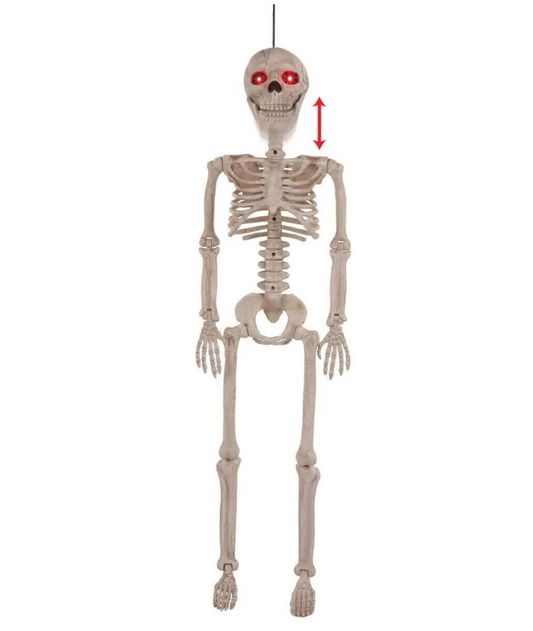 Afbeelding van Skeleton 36" talking