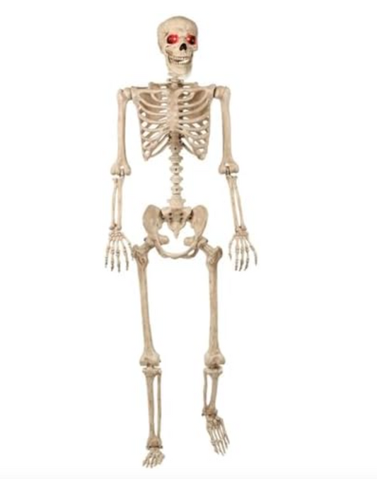 Afbeelding van Mr Crazy bones talking skeleton