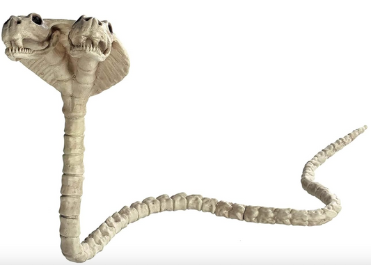 Afbeelding van Cobra snake 2 heads