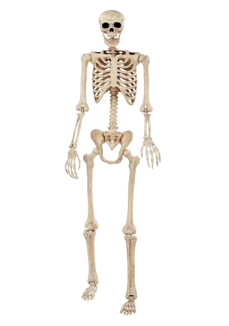 Afbeelding van Skeleton 190cm