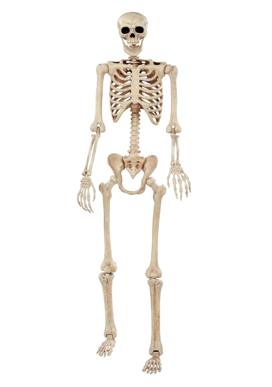 Afbeelding van Skeleton 190cm