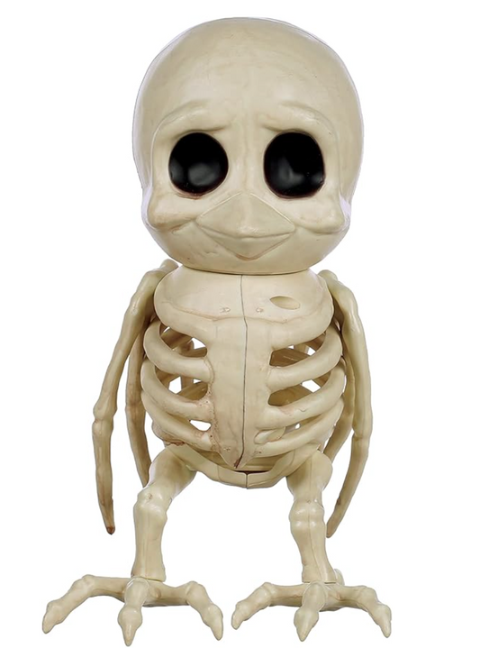 Afbeelding van Cuty Bird "Hoot" Skeleton
