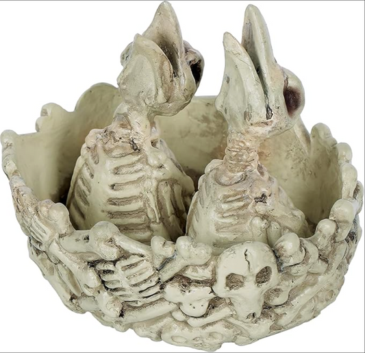Afbeelding van Skeleton Nesting Birds