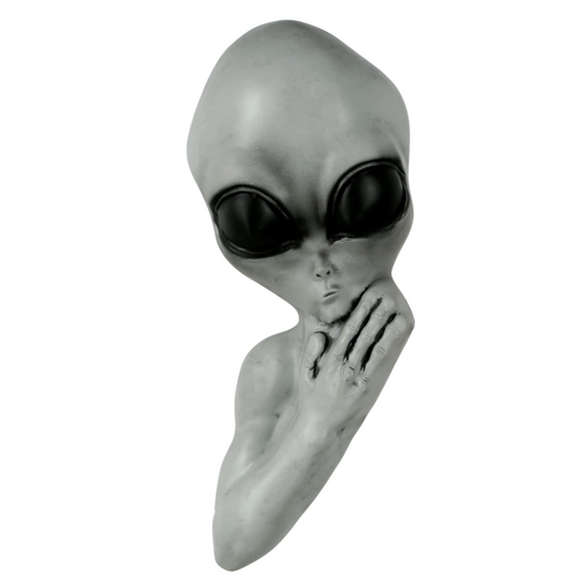 Afbeelding van Tree hugger Alien