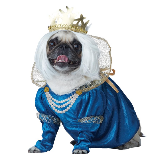 Afbeelding van Dog Suit Queen
