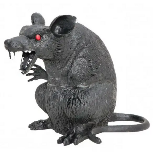 Afbeelding van Rat zittend