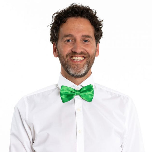 Afbeelding van Vlinderstrik groen
