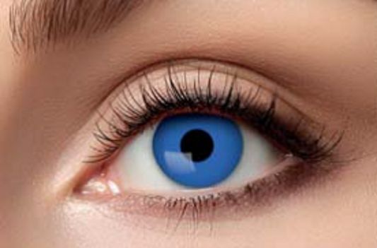 Afbeelding van Lenzen blauw 1 week