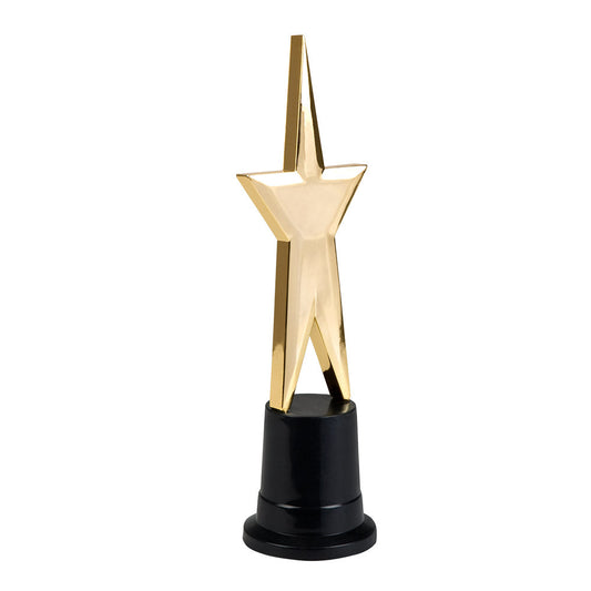 Afbeelding van Ster-trofee (22 cm)