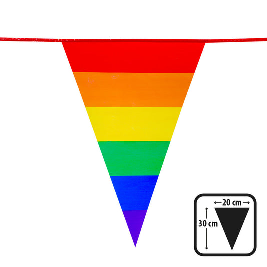 Afbeelding van PE vlaggenlijn Regenboog (30 x 20 cm)(10 m)
