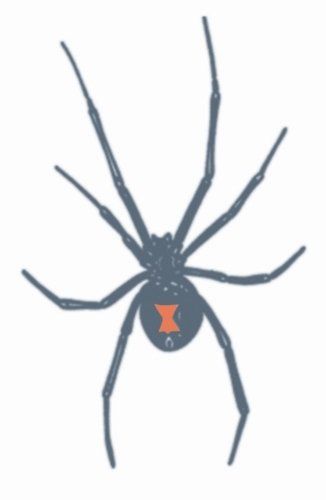 Afbeelding van Tattoo Black Widow