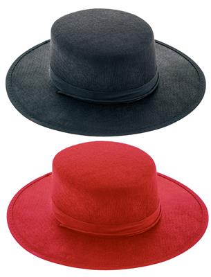 Afbeelding van Spaanse hoed Zorro