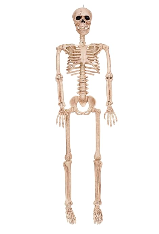 Afbeelding van Skeleton 36"