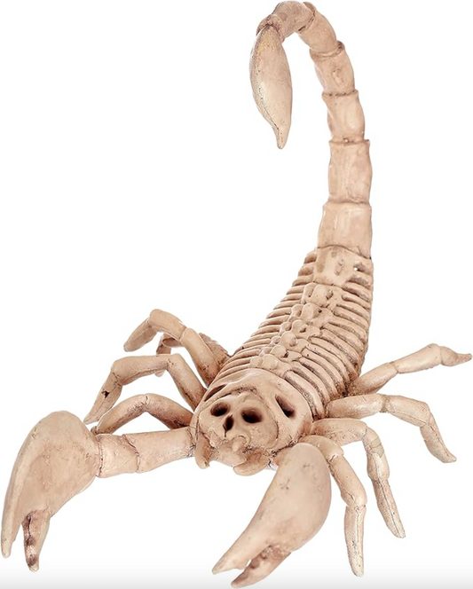 Afbeelding van Skeleton scorpion