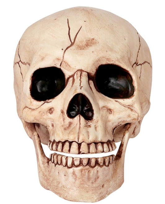 Afbeelding van Skull