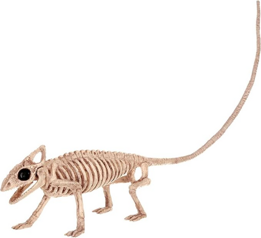 Afbeelding van Skeleton lizard