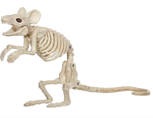 Afbeelding van Muis Skeleton staand