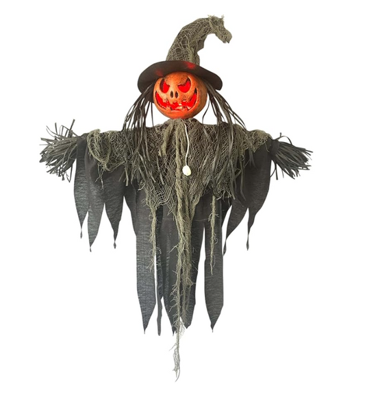 Afbeelding van Scarecrow hangend met licht