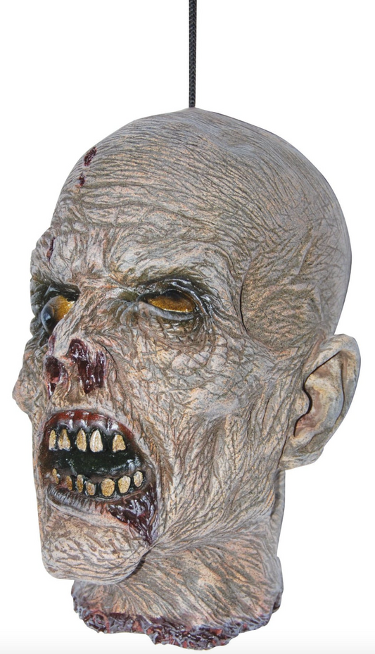 Afbeelding van Cut off Zombie Head