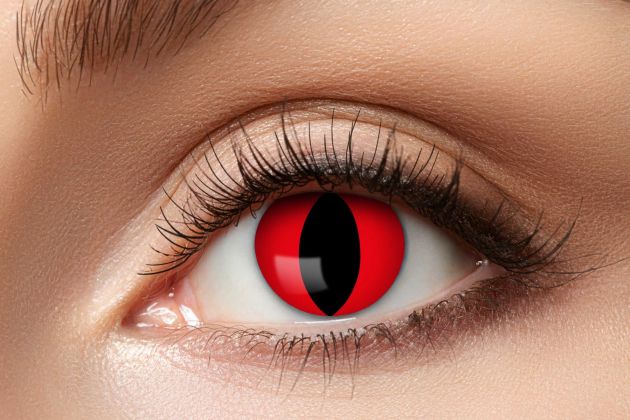 Afbeelding van Lens red cat