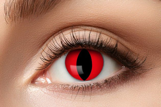 Afbeelding van Lens red cat