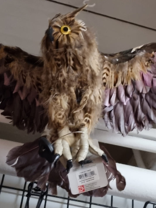 Afbeelding van Brown owl open wings S