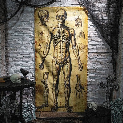 Afbeelding van Deurgordijn Anatomie