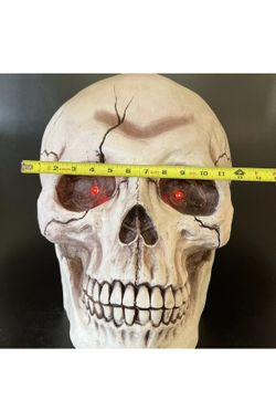 Afbeelding van Giant skull w. sound