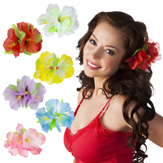 Afbeelding van Haarklem Hibiscus 6 ass.