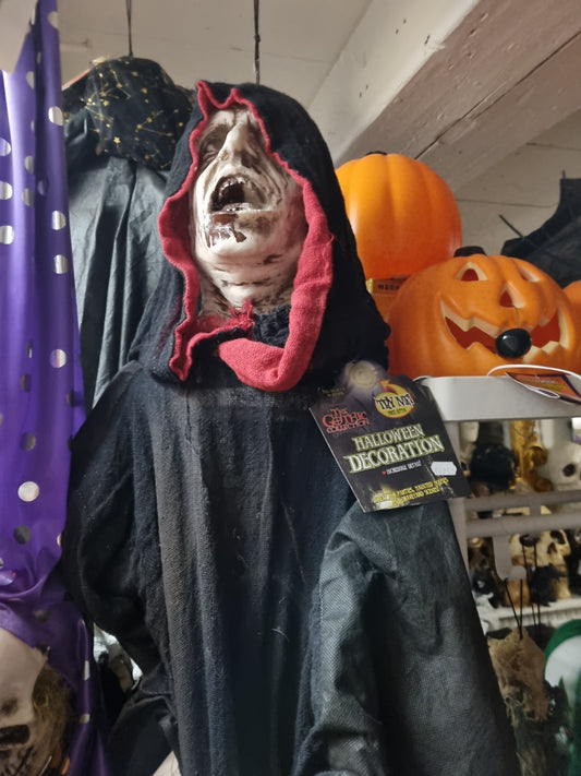 Afbeelding van Hanging Hooded Zombie