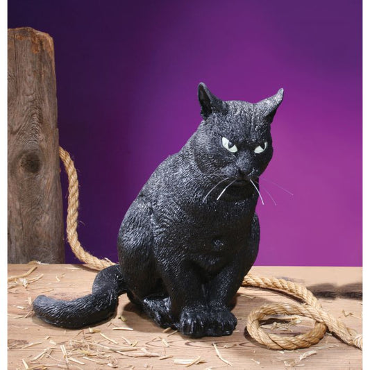Afbeelding van Latex kat