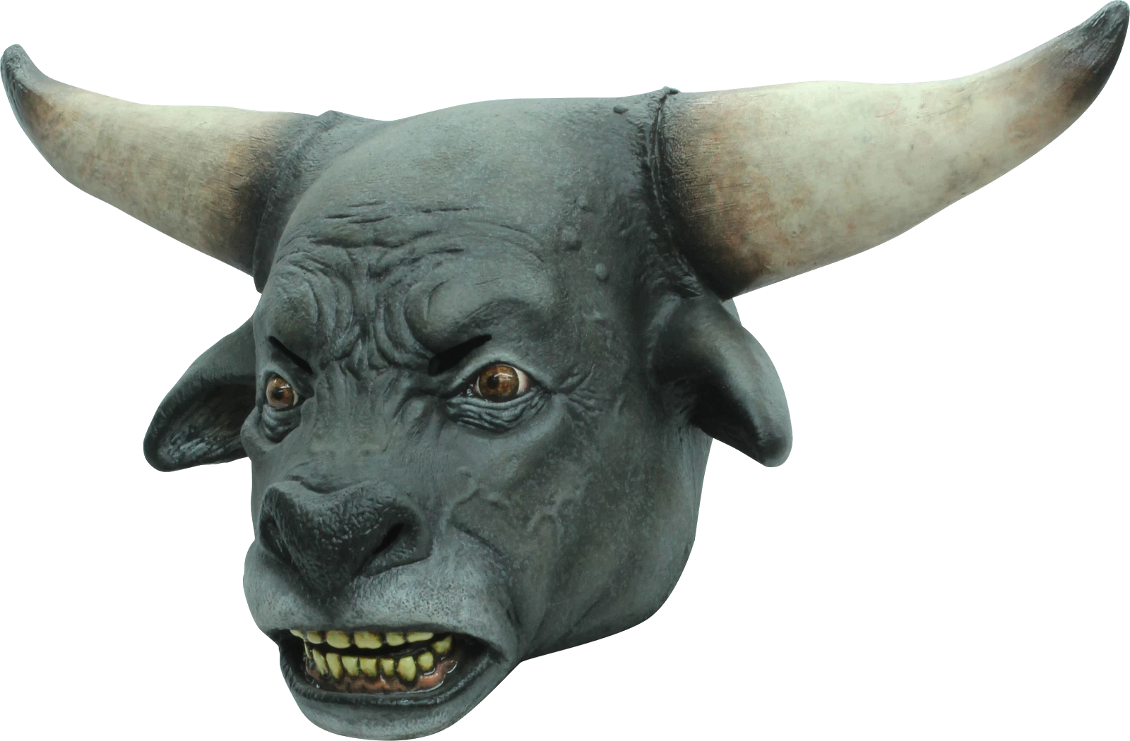 Afbeelding van Taurus