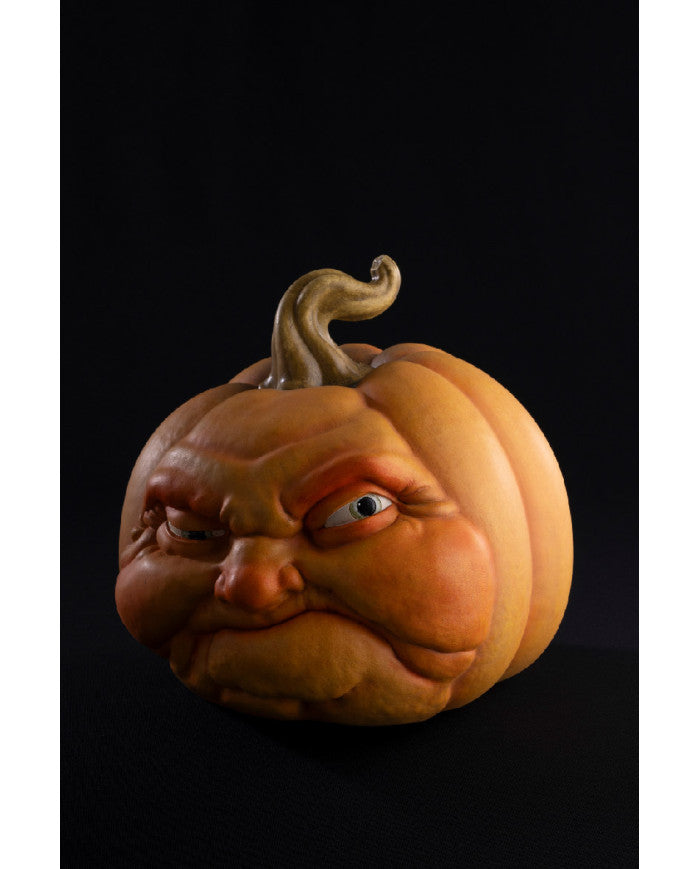 Afbeelding van Pompoen Polystone 24cm