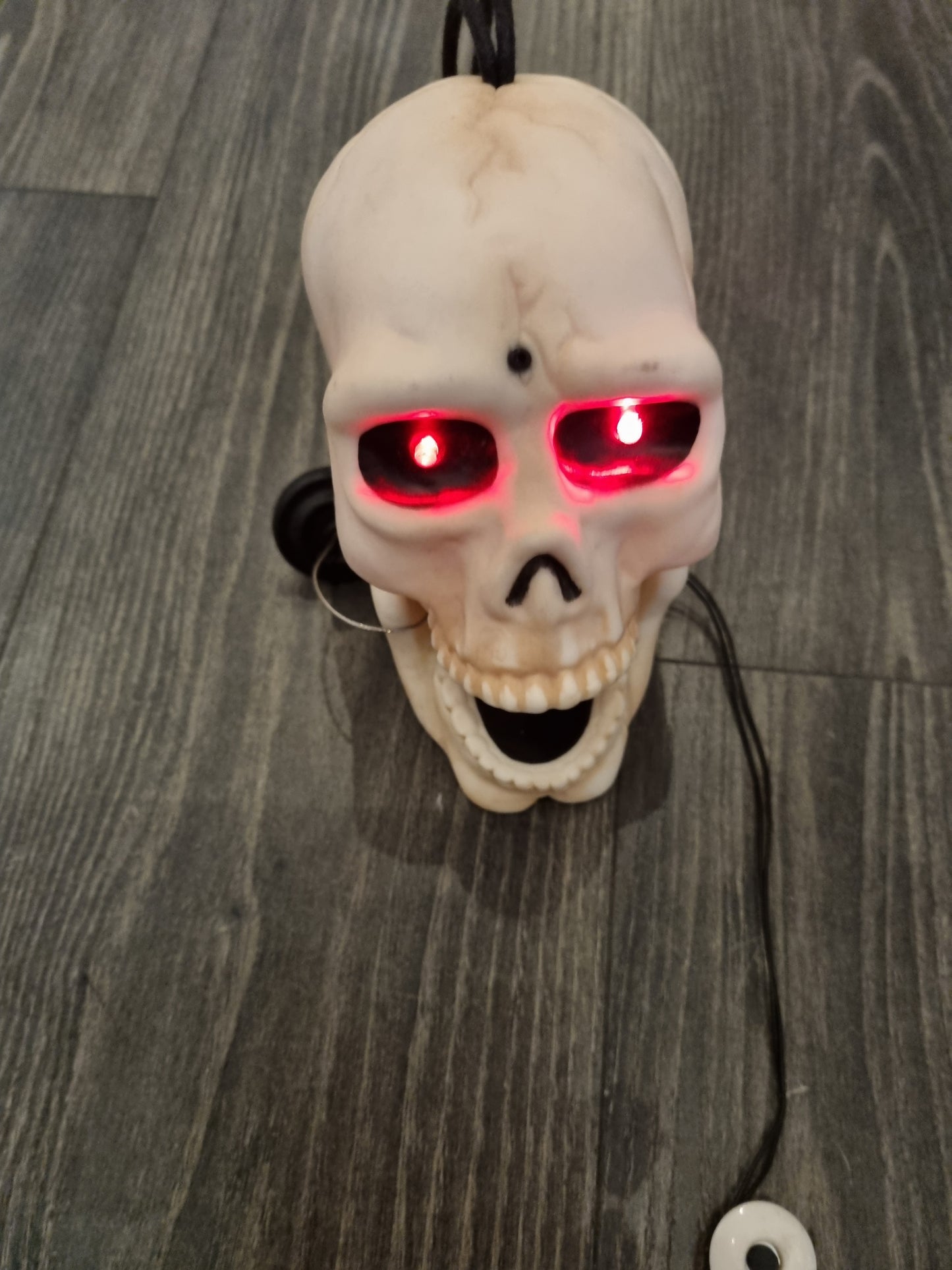 Afbeelding van Singing skull
