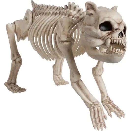 Afbeelding van Skeleton Dog