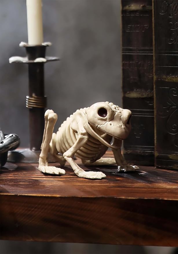Afbeelding van Skeleton frog